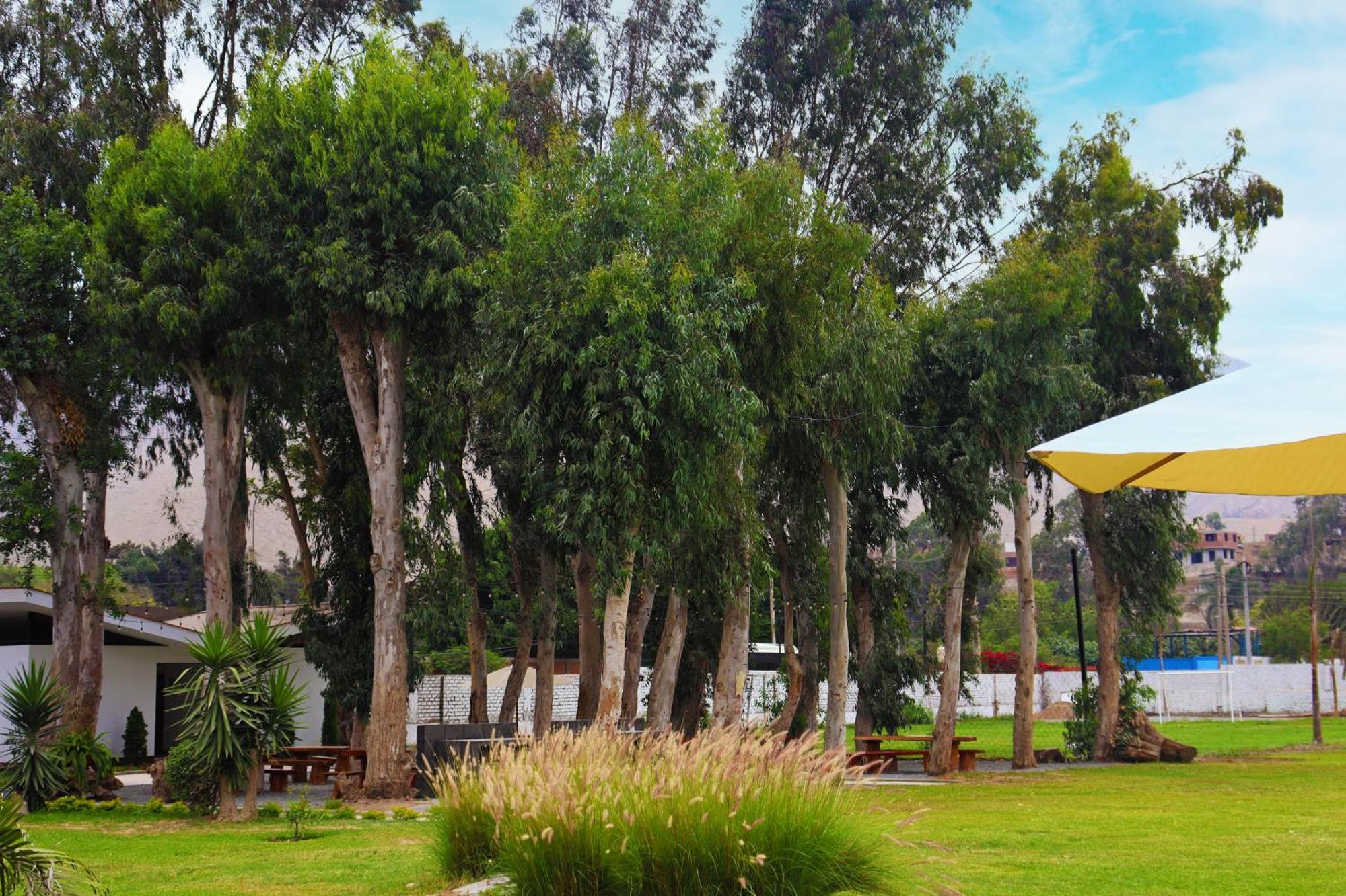 Los Andes - Restaurant & Bungalows Cieneguilla Exteriér fotografie