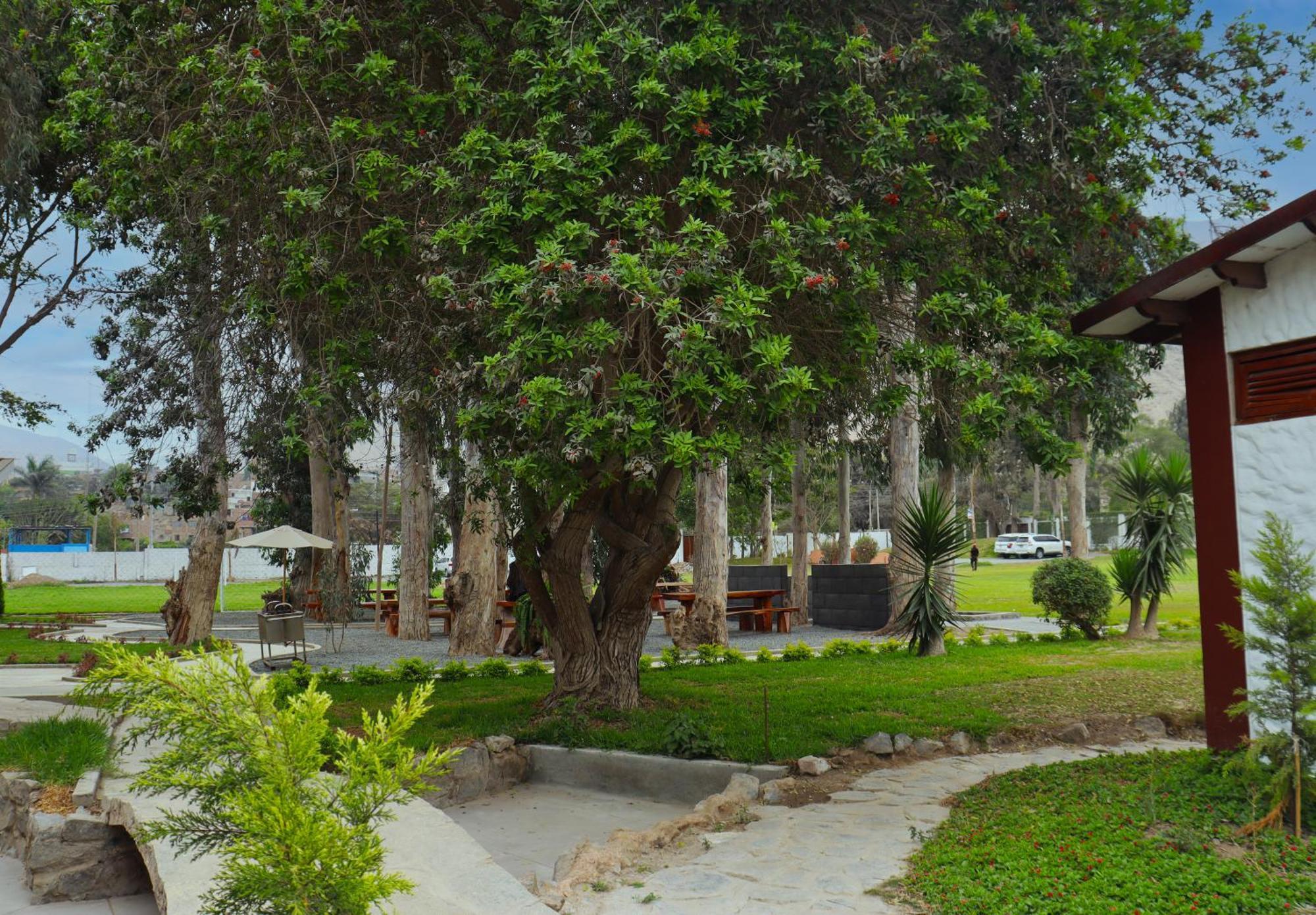 Los Andes - Restaurant & Bungalows Cieneguilla Exteriér fotografie